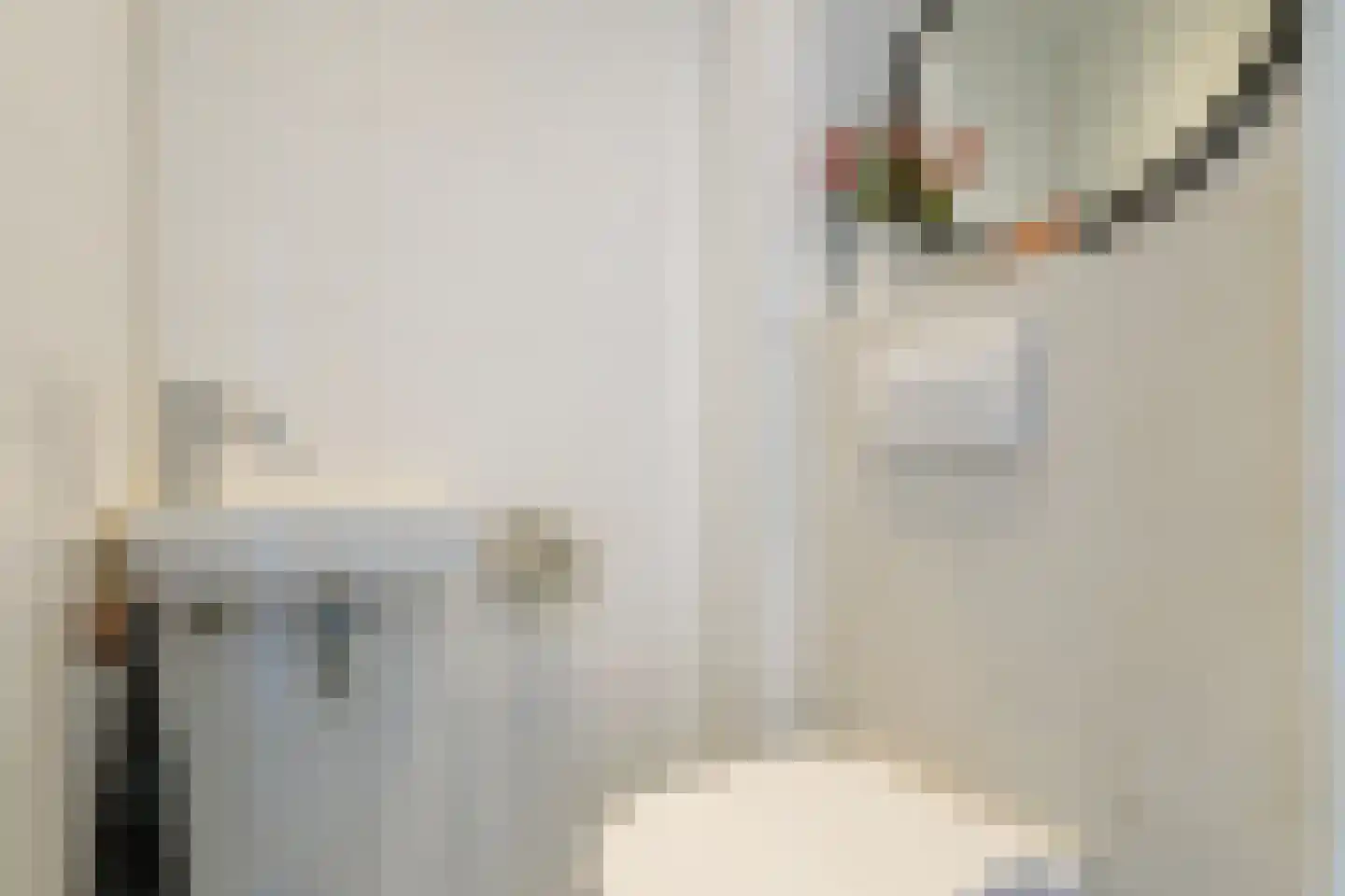 Prins Pieterstraat 9 Wehl thumbnail 21