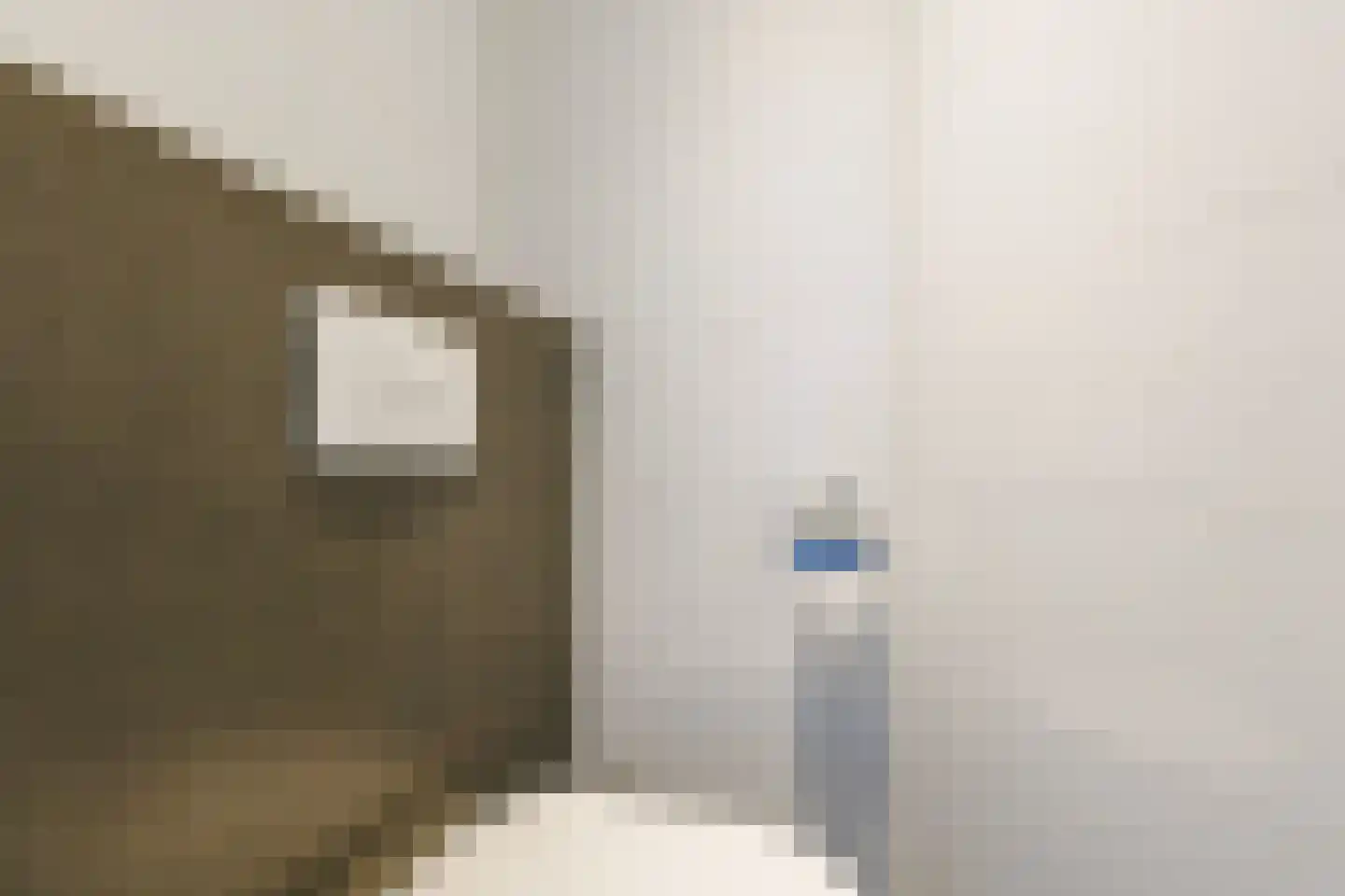 Prins Pieterstraat 9 Wehl thumbnail 30