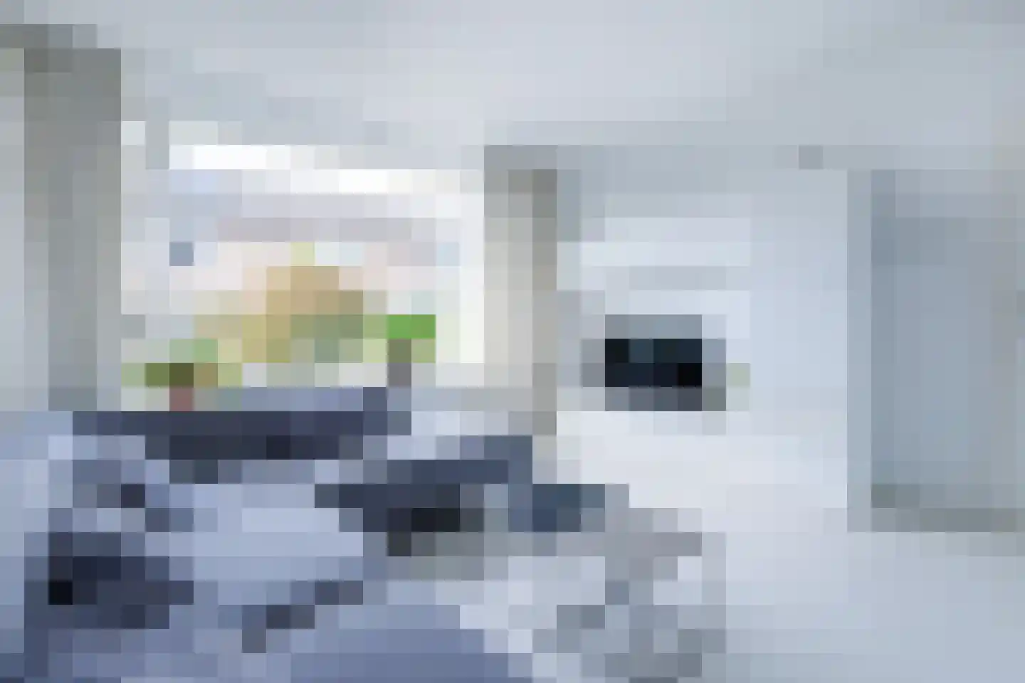 Prins Pieterstraat 9 Wehl thumbnail 4