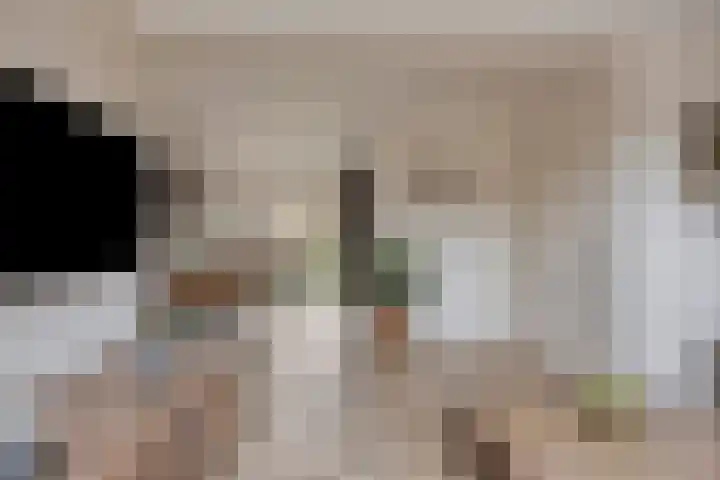 Prins van Luikstraat 37 Luyksgestel thumbnail 11