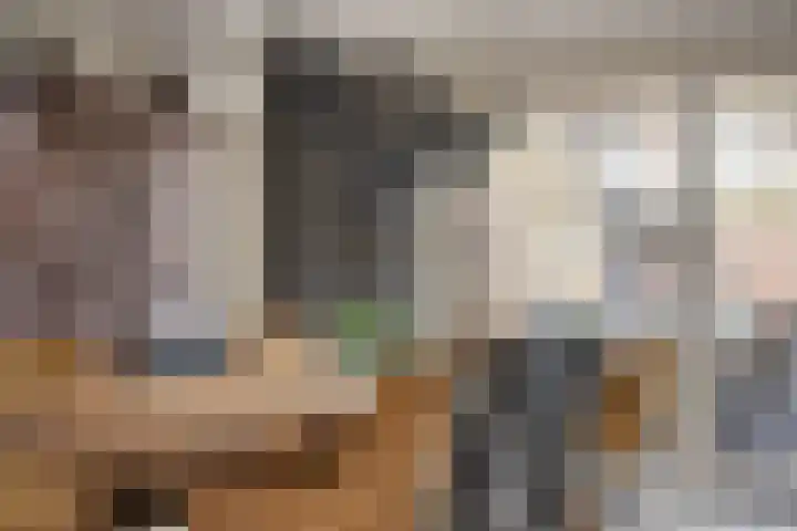Prins van Luikstraat 37 Luyksgestel thumbnail 16