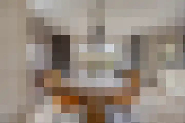 Prins van Luikstraat 37 Luyksgestel thumbnail 17
