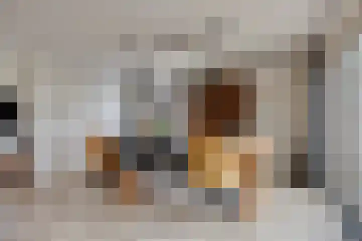 Prins van Luikstraat 37 Luyksgestel thumbnail 18