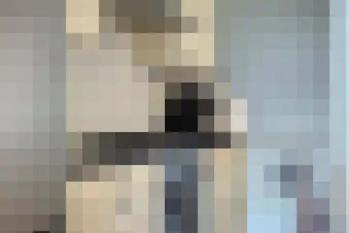 Prins van Luikstraat 37 Luyksgestel thumbnail 26