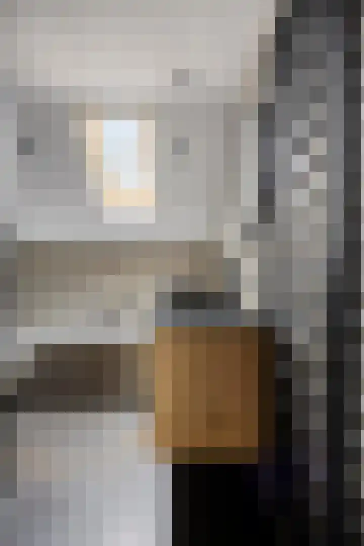 Prins van Luikstraat 37 Luyksgestel thumbnail 31