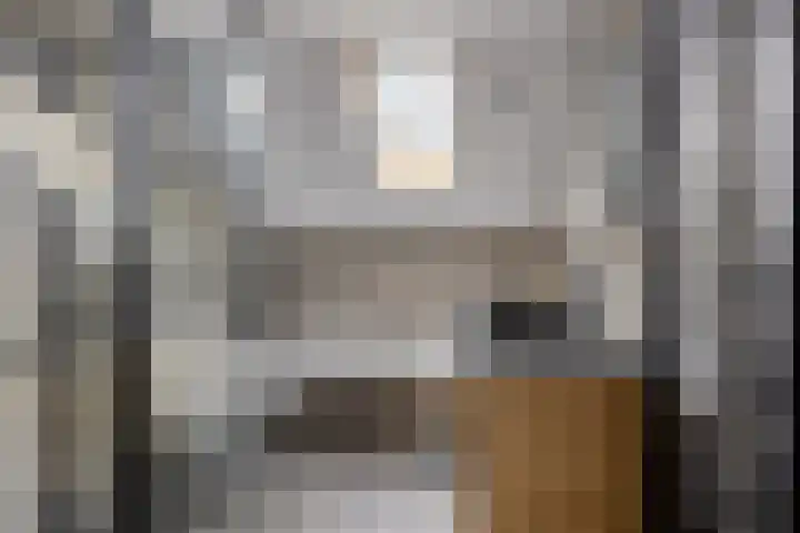 Prins van Luikstraat 37 Luyksgestel thumbnail 33