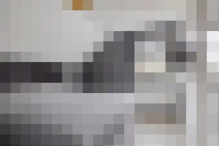 Prins van Luikstraat 37 Luyksgestel thumbnail 34