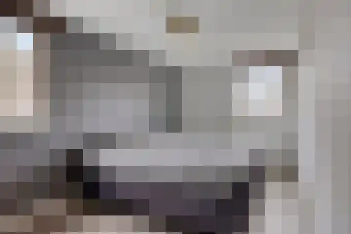 Prins van Luikstraat 37 Luyksgestel thumbnail 37