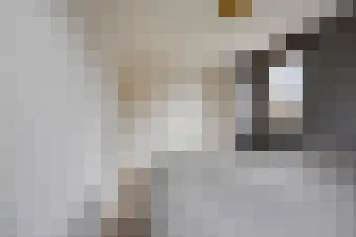 Prins van Luikstraat 37 Luyksgestel thumbnail 38