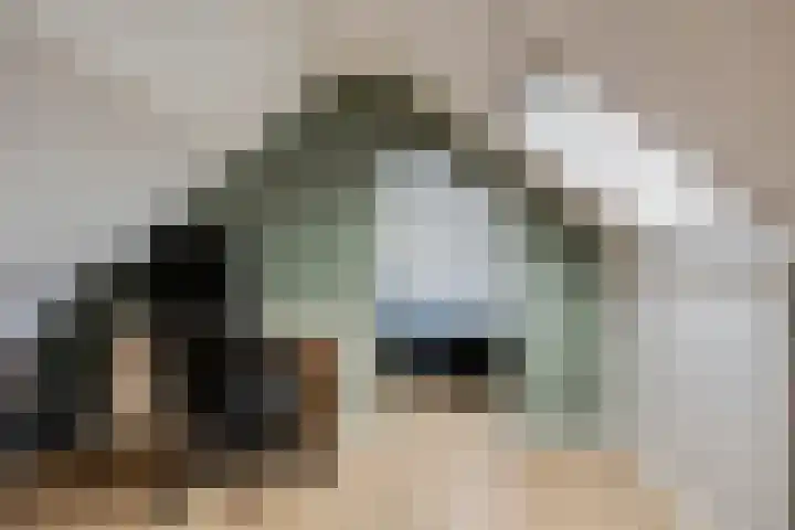 Prins van Luikstraat 37 Luyksgestel thumbnail 43