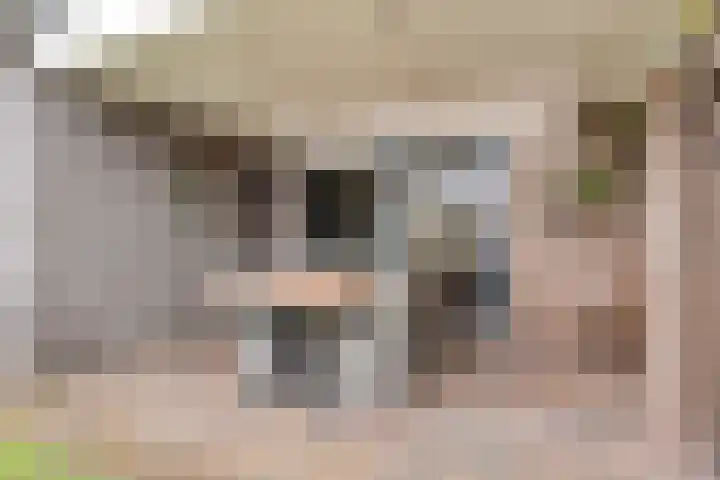Prins van Luikstraat 37 Luyksgestel thumbnail 46