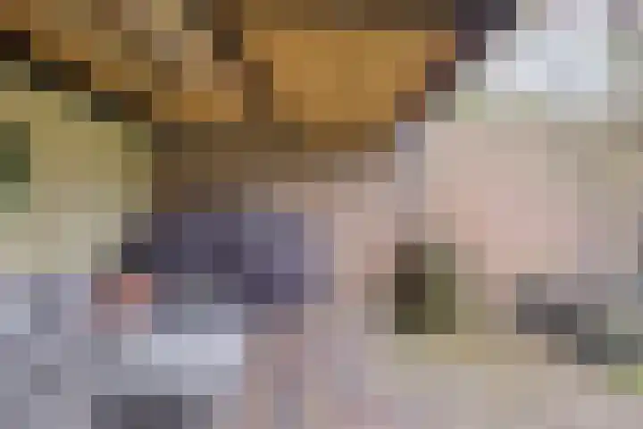 Prins van Luikstraat 37 Luyksgestel thumbnail 50