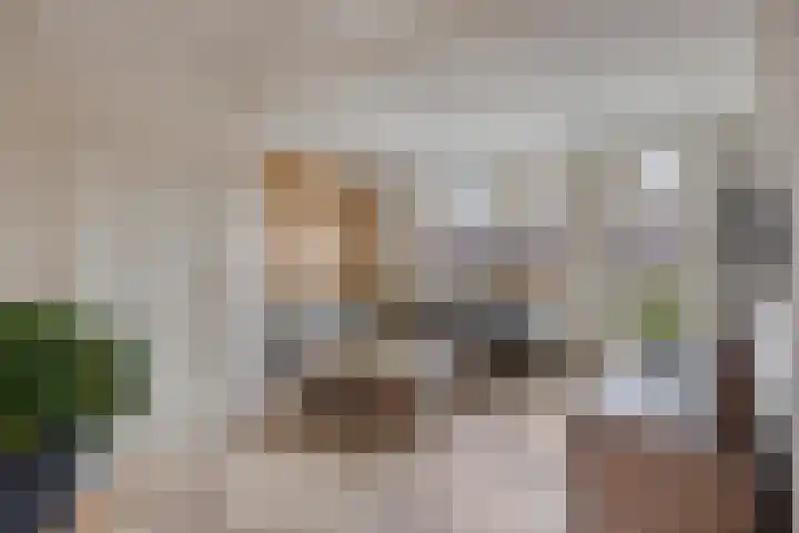 Prins van Luikstraat 37 Luyksgestel thumbnail 8