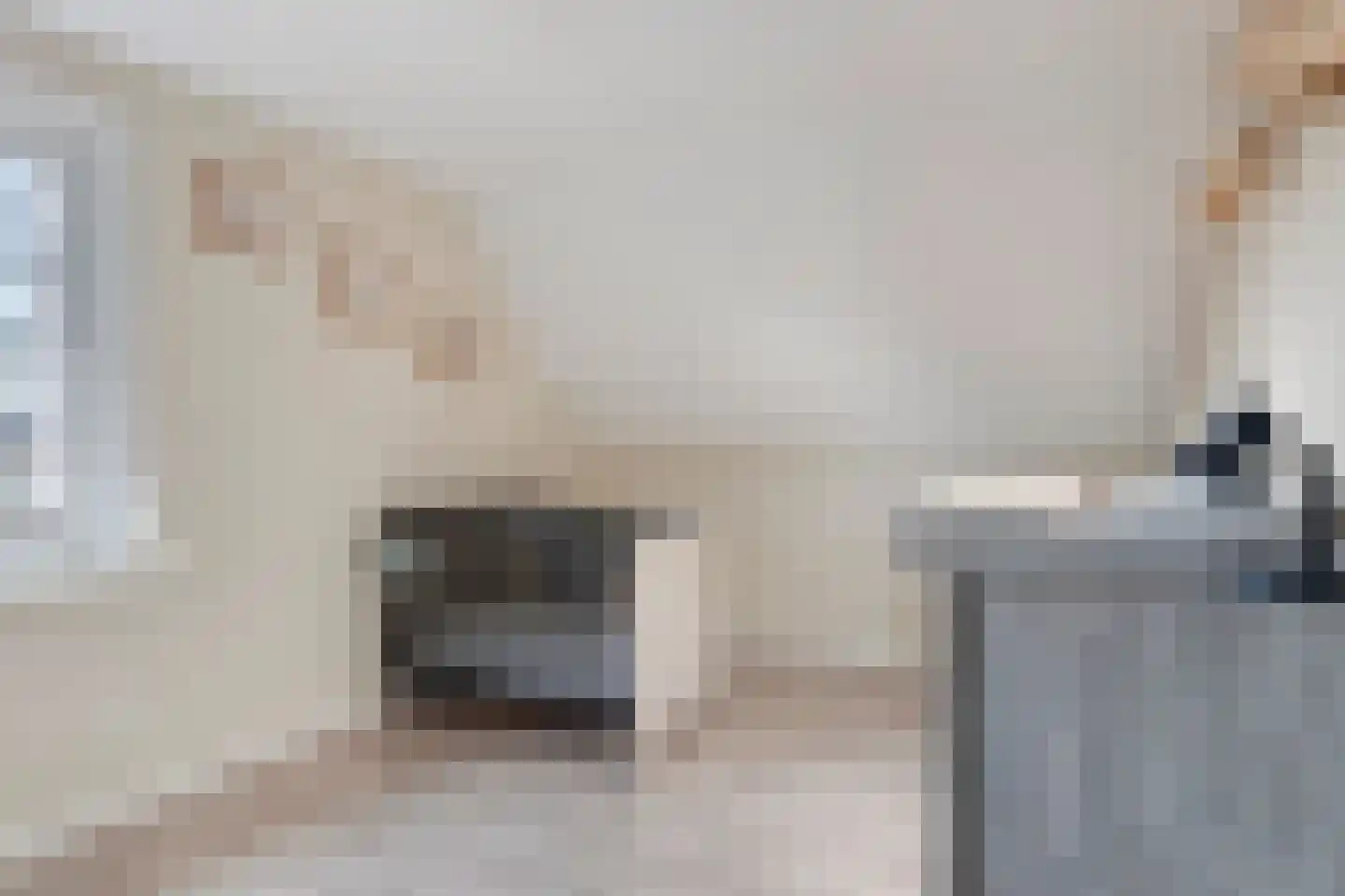 Prins van Luikstraat 67 Luyksgestel thumbnail 21
