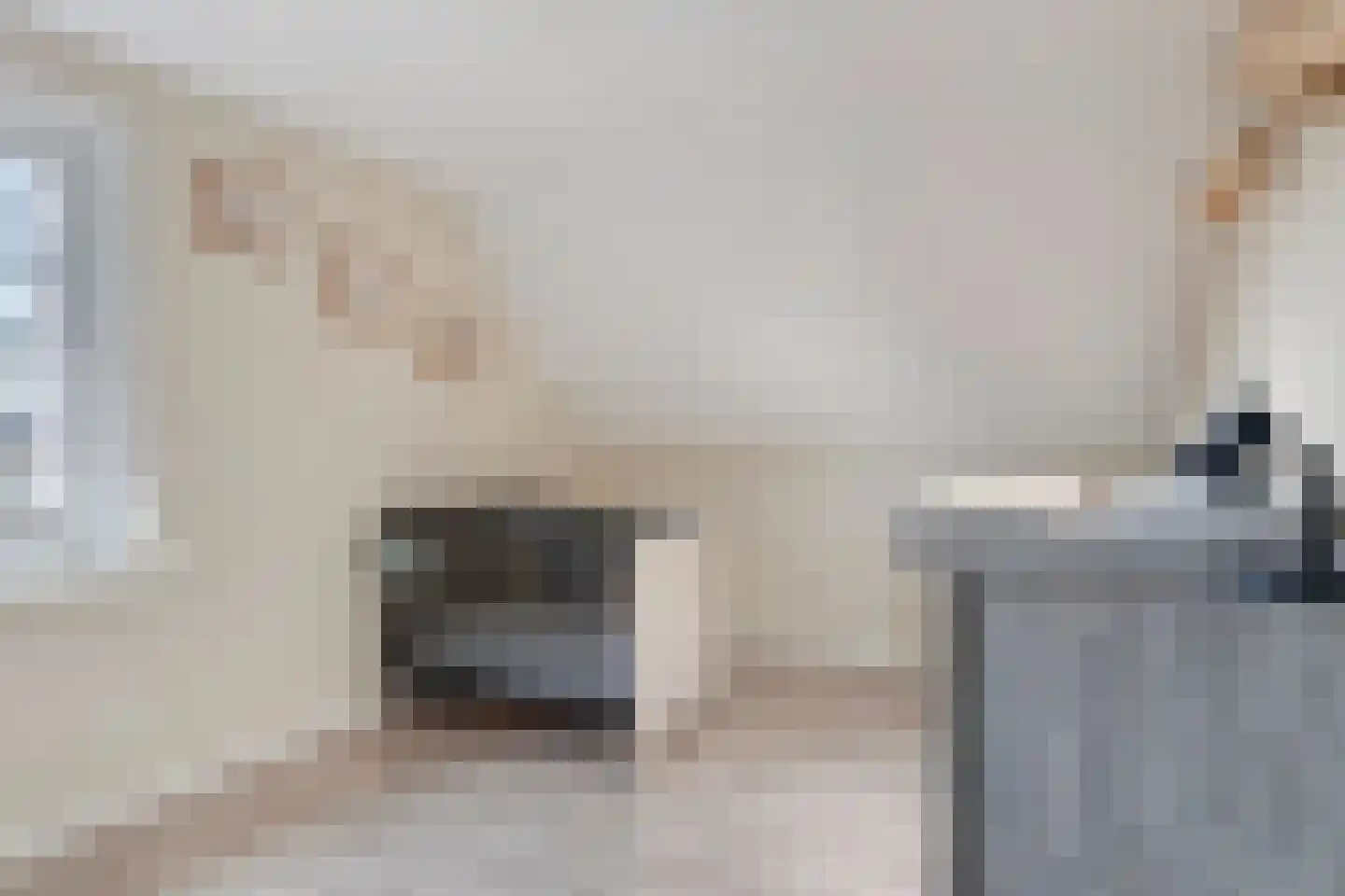 Prins van Luikstraat 67 Luyksgestel thumbnail 22