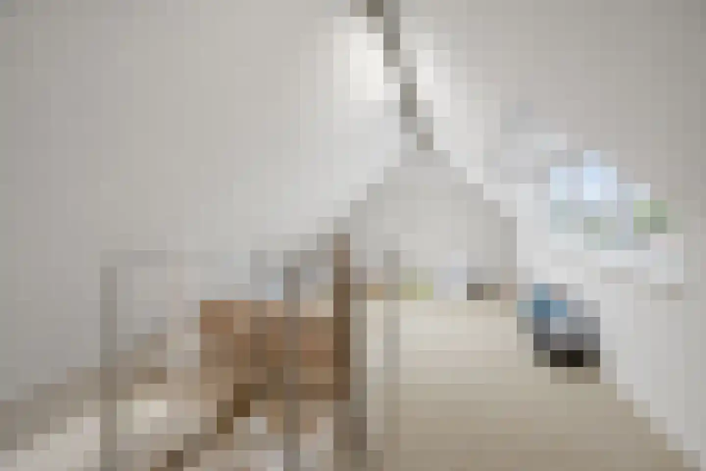 Prins van Luikstraat 67 Luyksgestel thumbnail 28