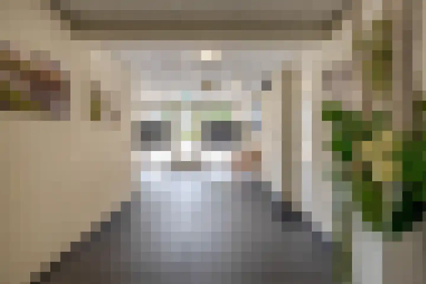 Prins van Oranje 21 Krimpen aan de Lek thumbnail 9