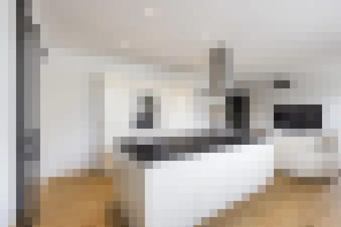 Prins van Oranje 49 Krimpen aan de Lek thumbnail 10