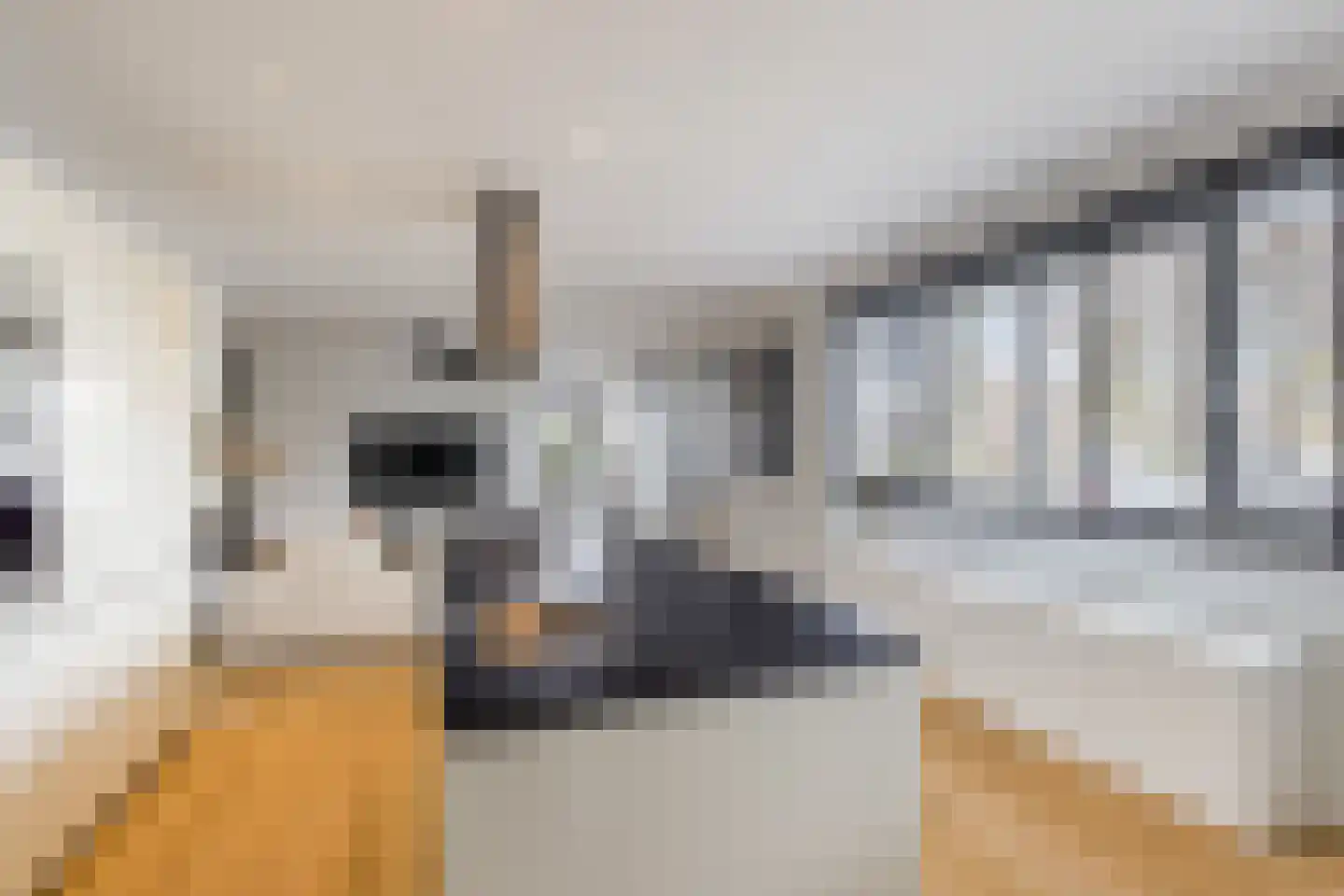 Prins van Oranje 49 Krimpen aan de Lek thumbnail 12