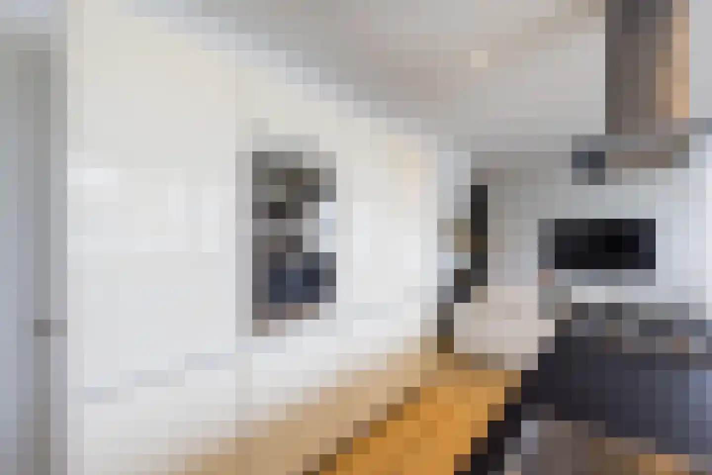 Prins van Oranje 49 Krimpen aan de Lek thumbnail 14