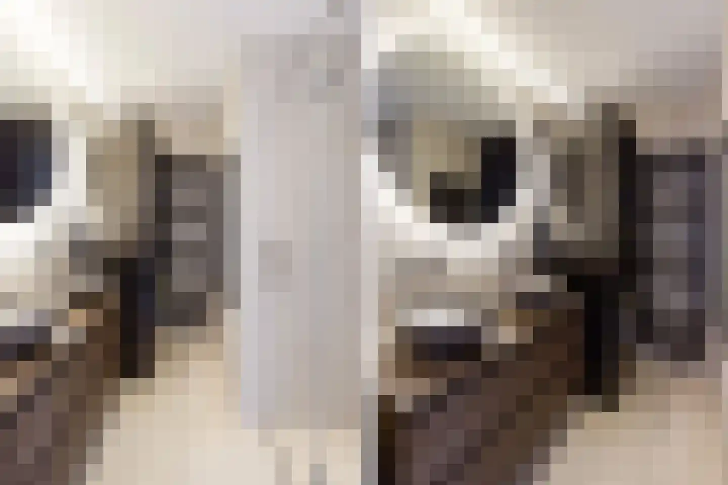 Prins van Oranje 49 Krimpen aan de Lek thumbnail 22