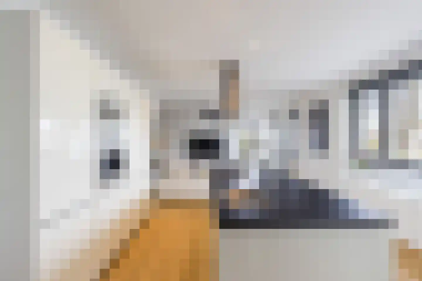 Prins van Oranje 49 Krimpen aan de Lek foto 3