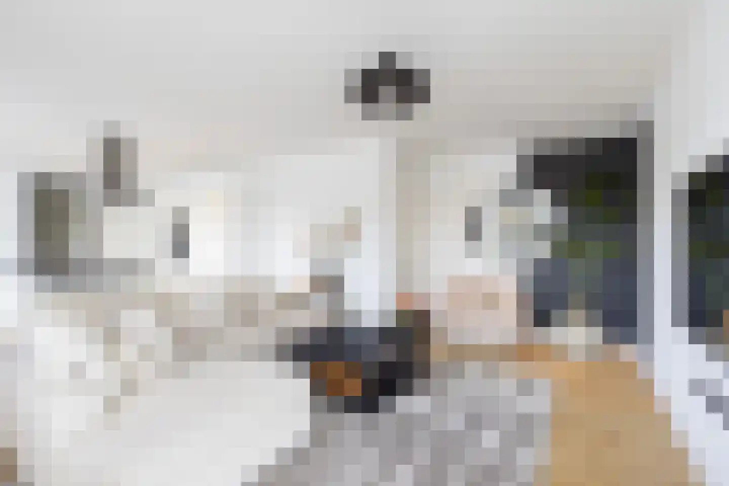 Prins van Oranje 49 Krimpen aan de Lek thumbnail 5
