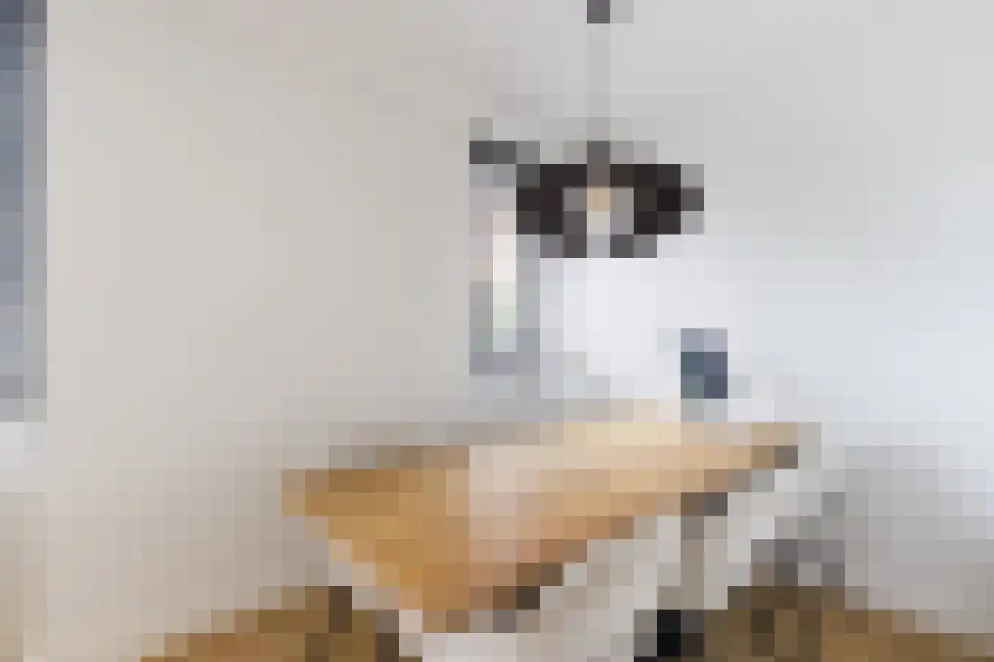 Prins van Oranje 49 Krimpen aan de Lek thumbnail 8