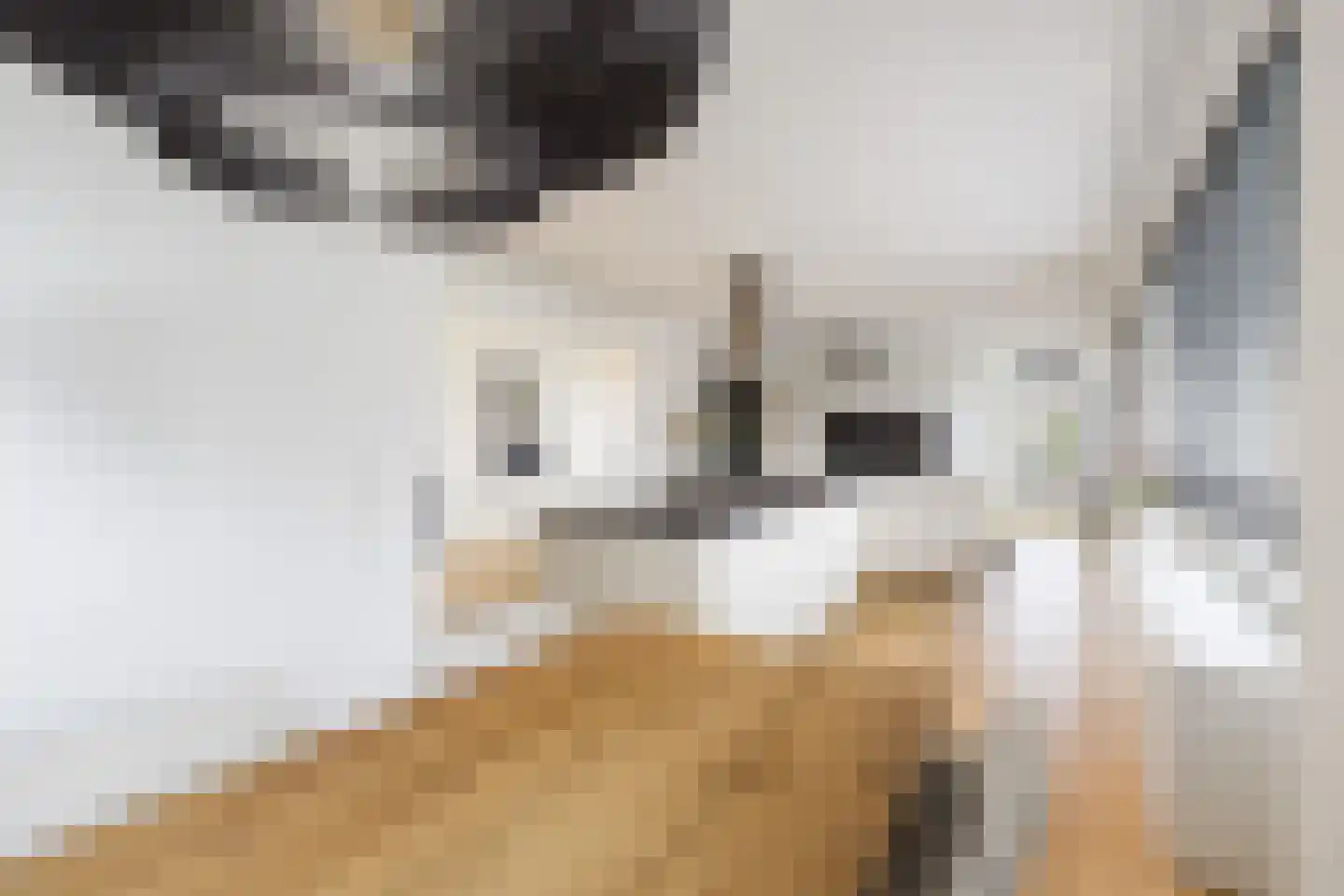 Prins van Oranje 49 Krimpen aan de Lek thumbnail 9
