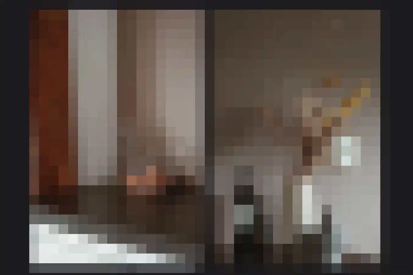 Prins van Oranjestraat 11 Geldermalsen thumbnail 13