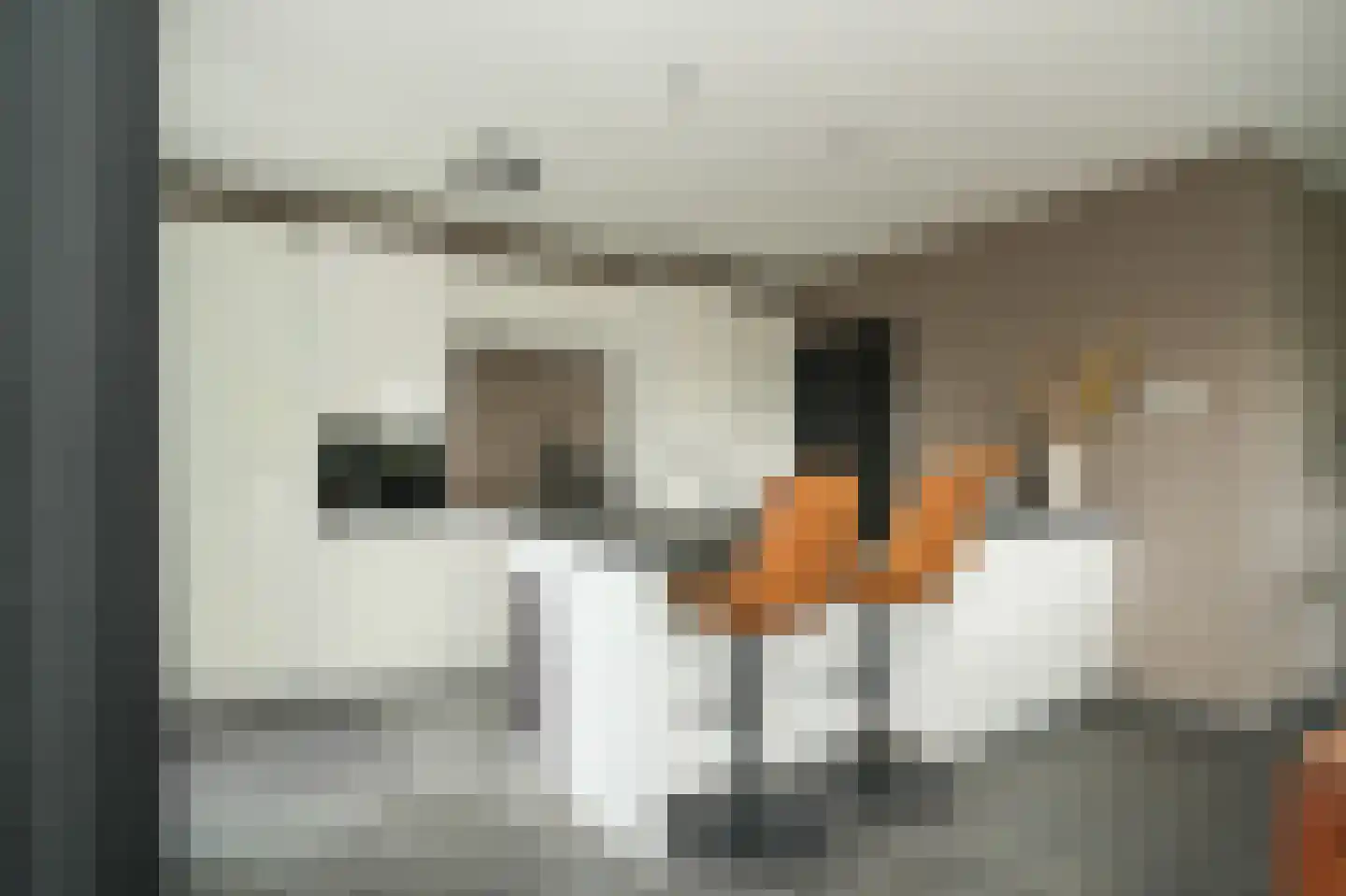 Prins van Oranjestraat 11 Geldermalsen thumbnail 14