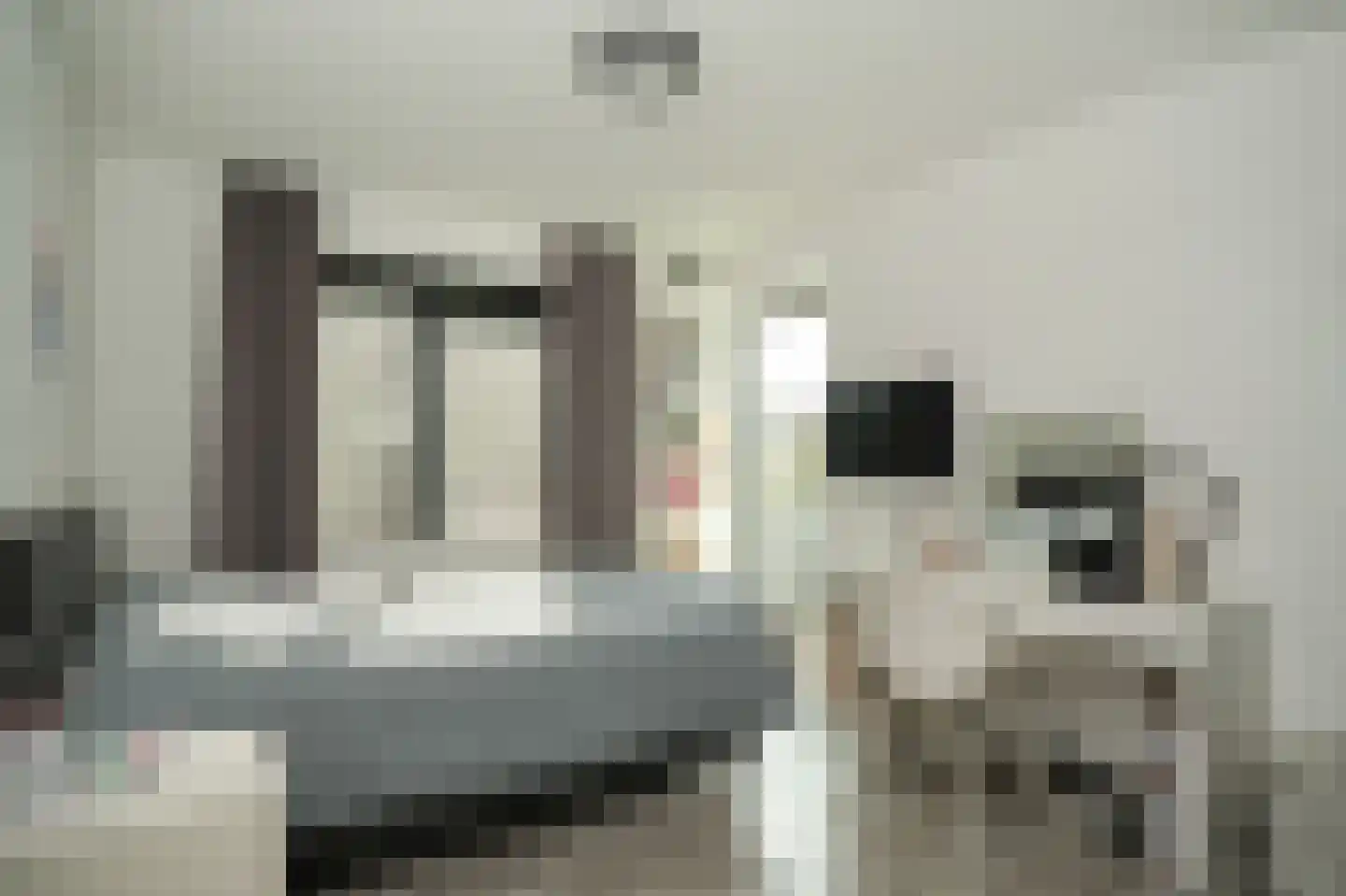 Prins van Oranjestraat 11 Geldermalsen thumbnail 27
