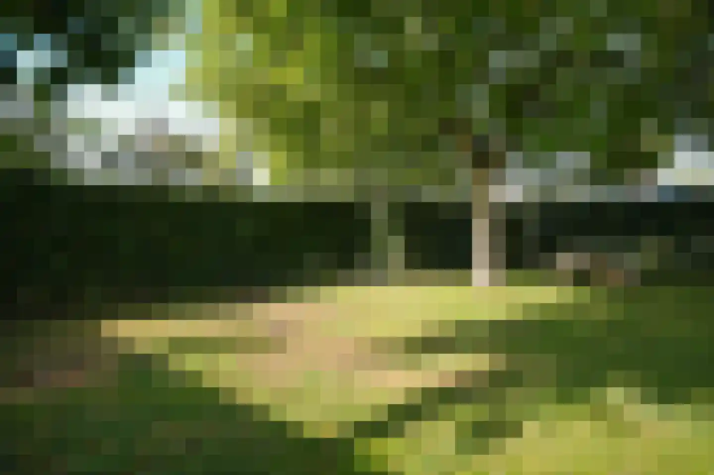 Prins van Oranjestraat 11 Geldermalsen thumbnail 39