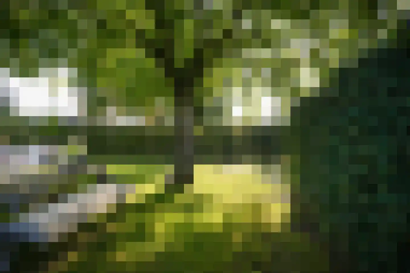 Prins van Oranjestraat 11 Geldermalsen thumbnail 4