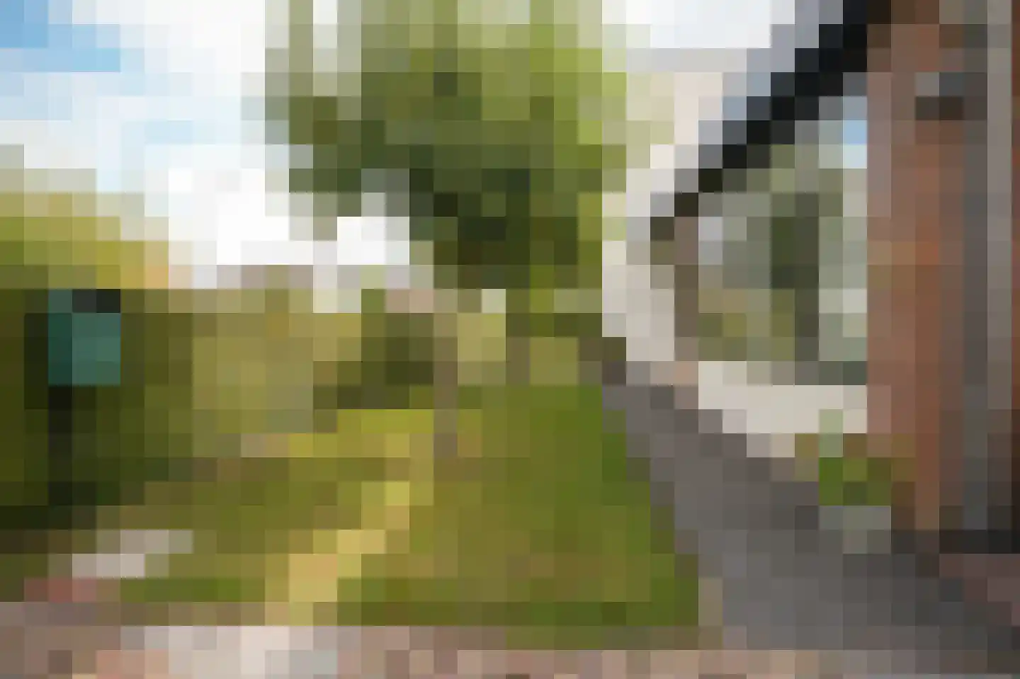 Prins van Oranjestraat 11 Geldermalsen thumbnail 43