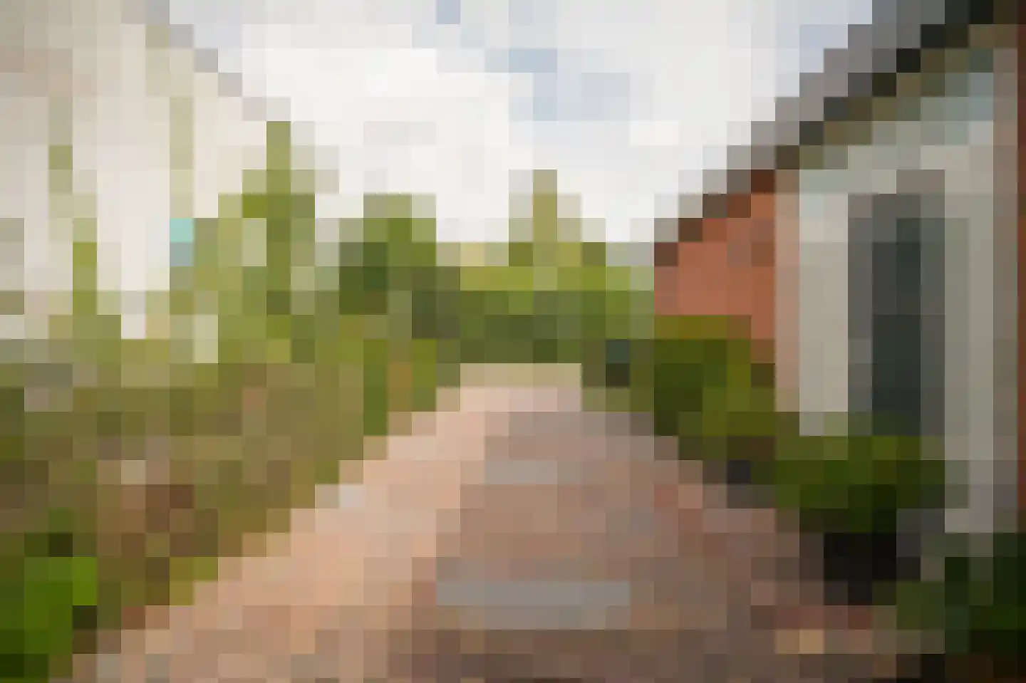 Prins van Oranjestraat 11 Geldermalsen thumbnail 44
