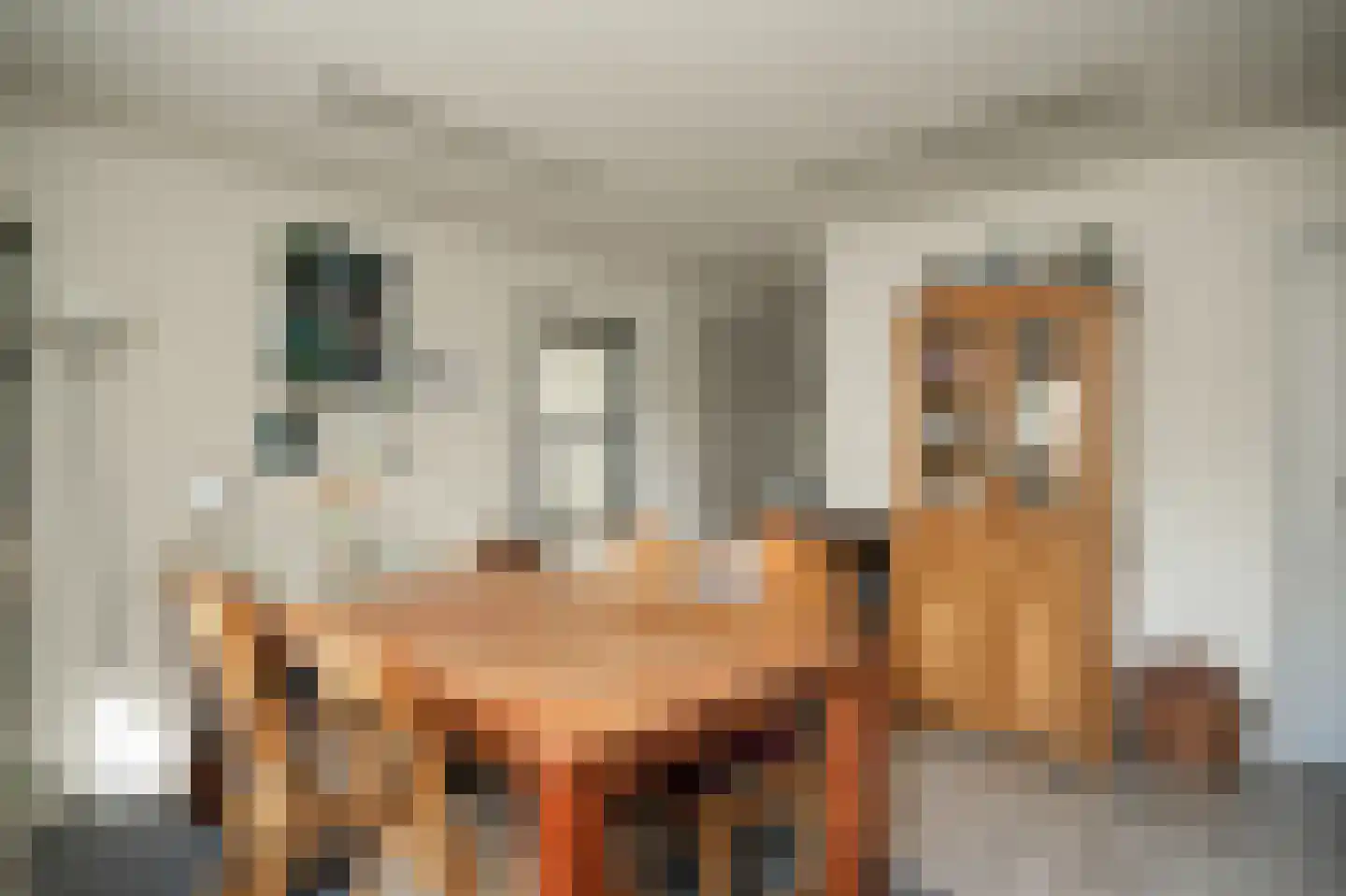 Prins van Oranjestraat 11 Geldermalsen thumbnail 51