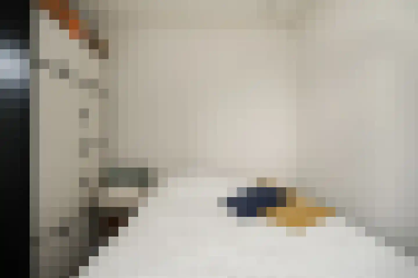 Prins van Oranjestraat 11 Geldermalsen thumbnail 55