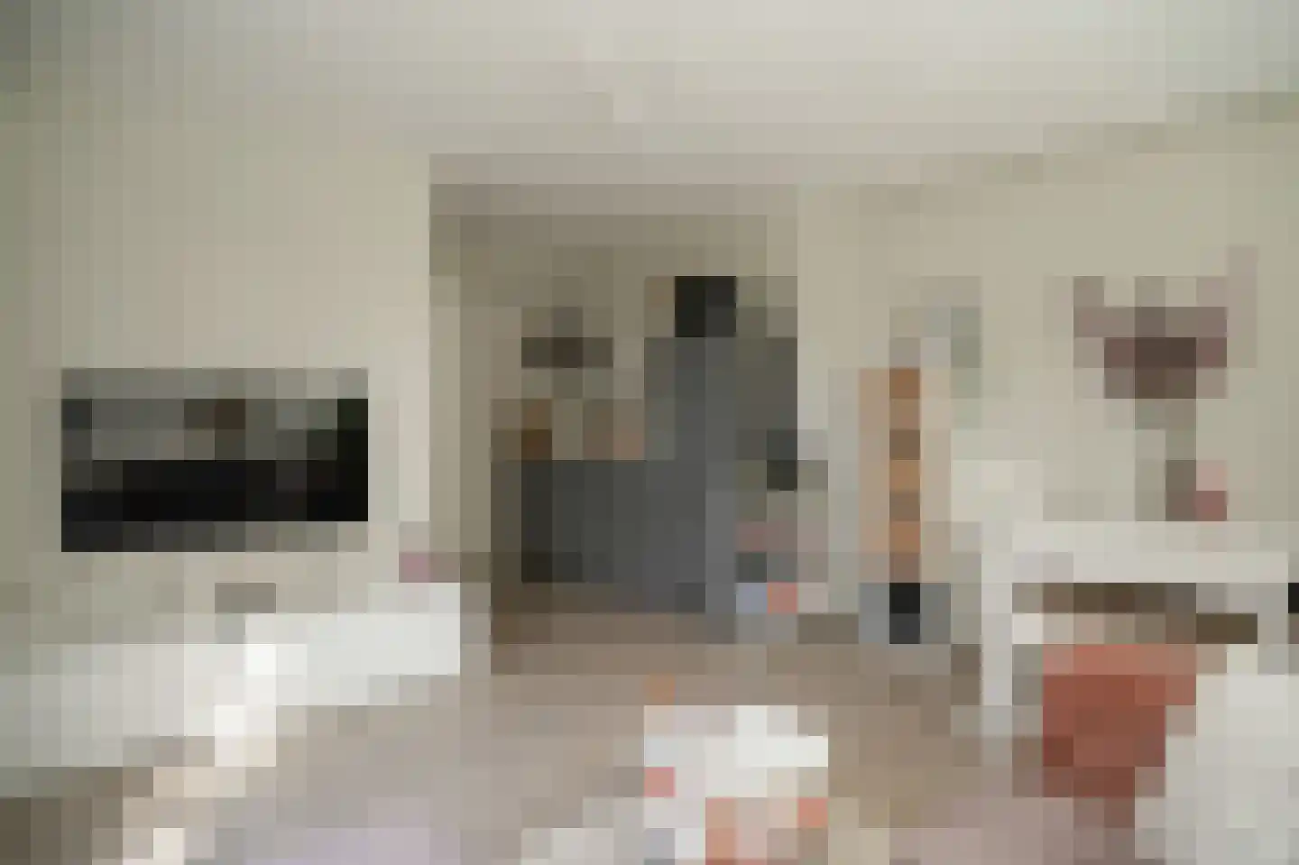 Prins van Oranjestraat 11 Geldermalsen thumbnail 62