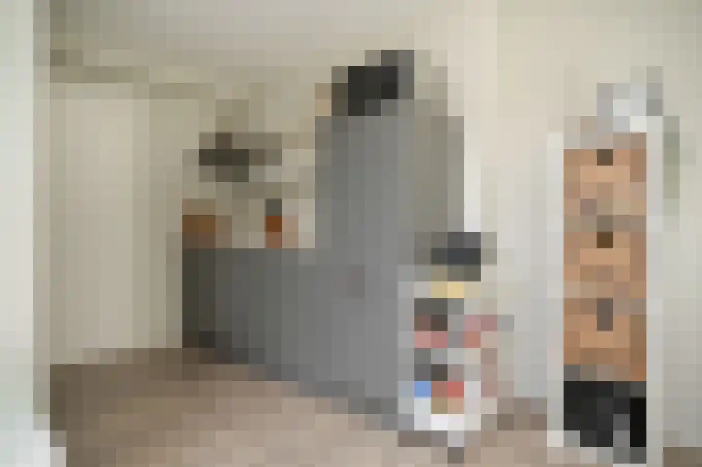 Prins van Oranjestraat 11 Geldermalsen thumbnail 63