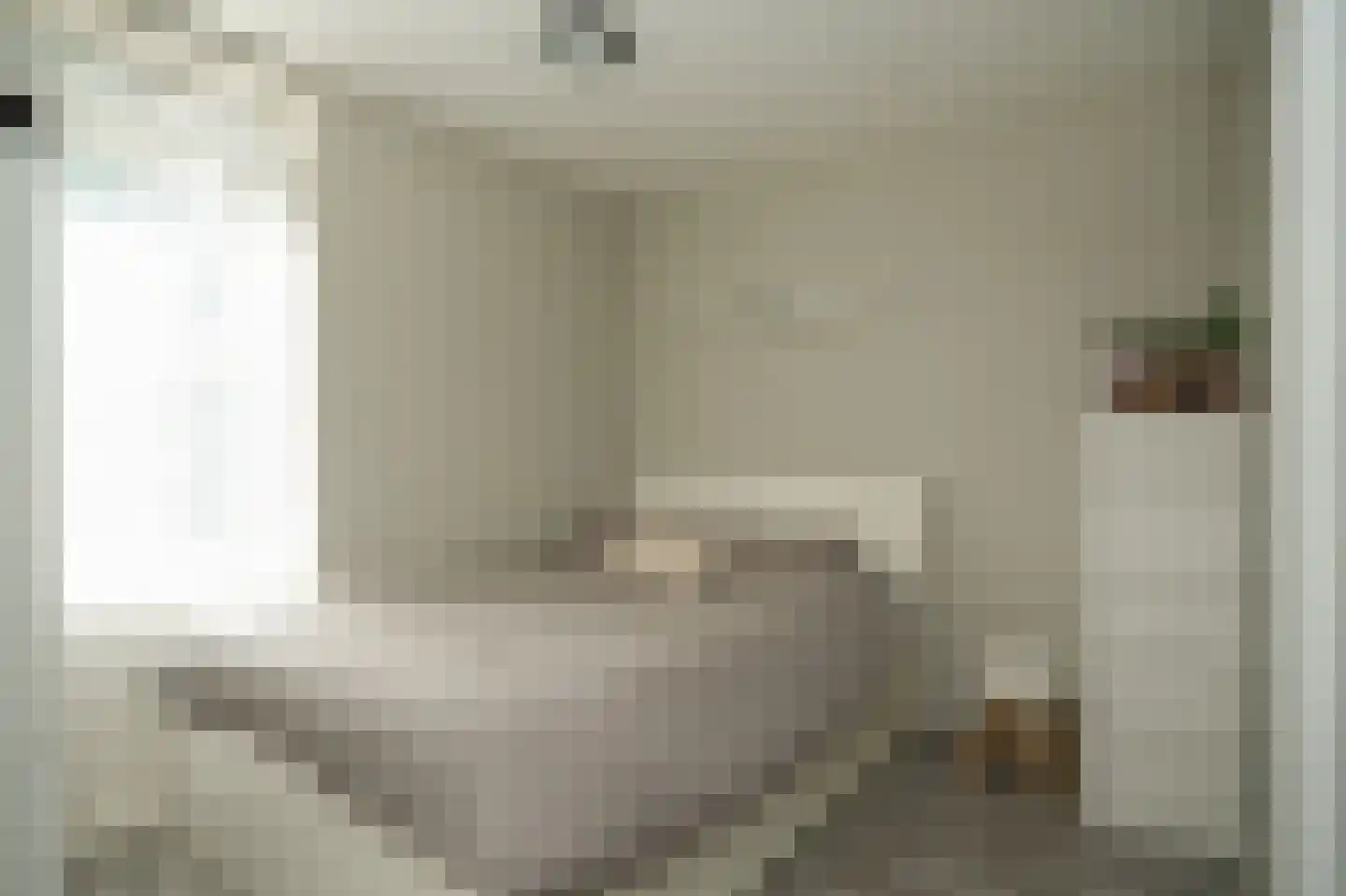 Prins van Oranjestraat 11 Geldermalsen thumbnail 65