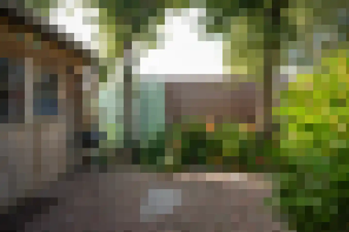 Prins van Oranjestraat 11 Geldermalsen thumbnail 66