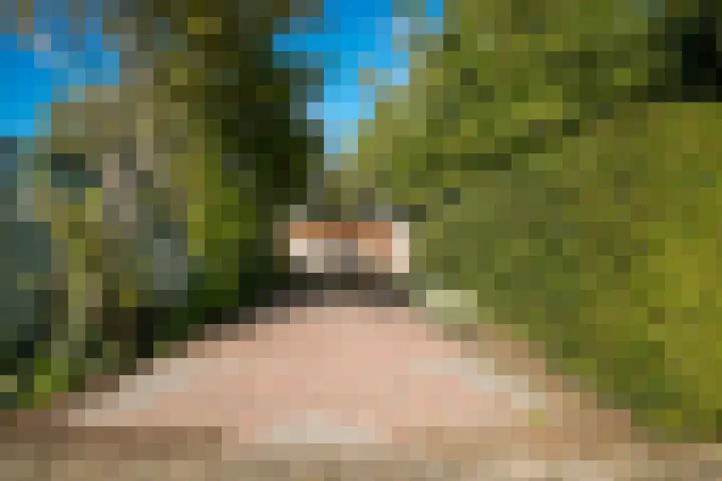 Prins van Oranjestraat 11 Geldermalsen thumbnail 68