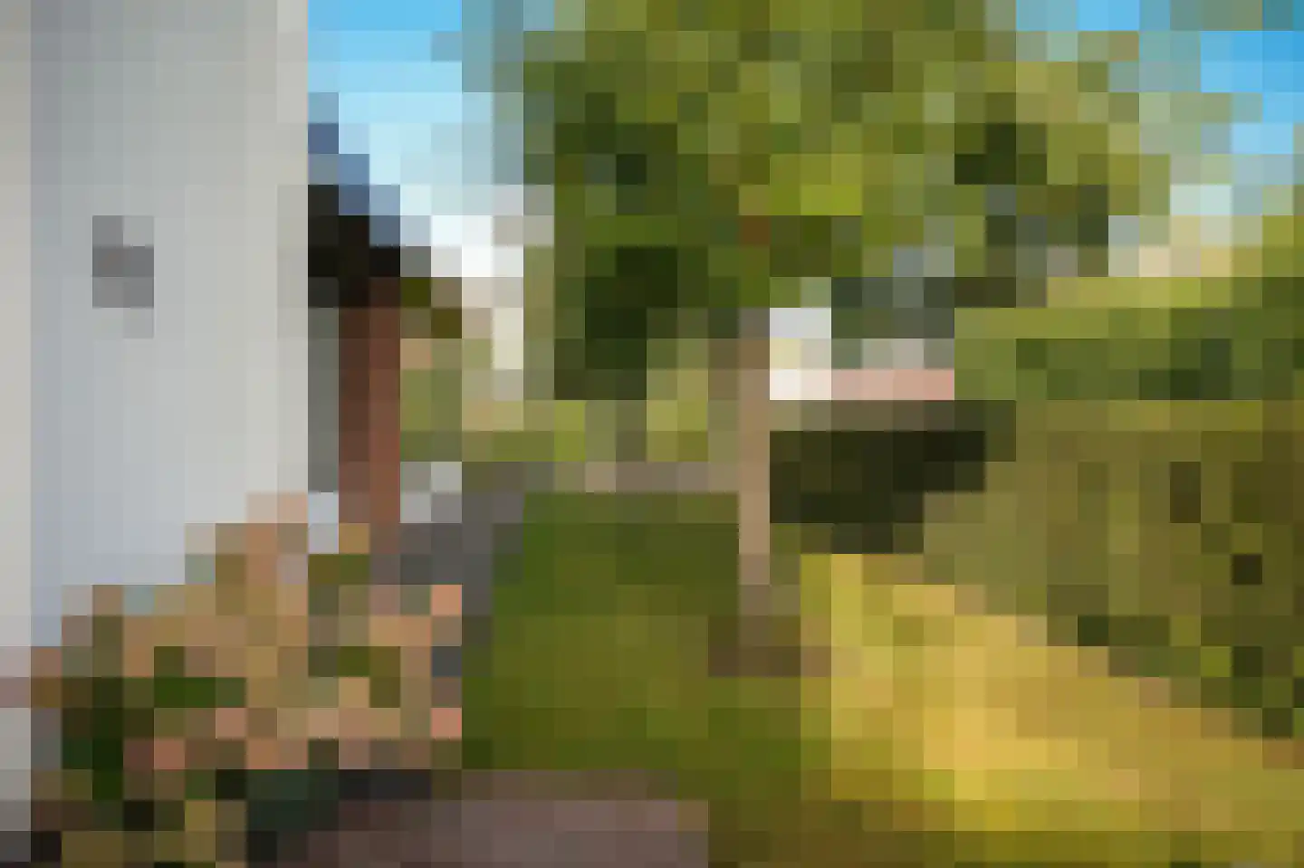 Prins van Oranjestraat 11 Geldermalsen thumbnail 73