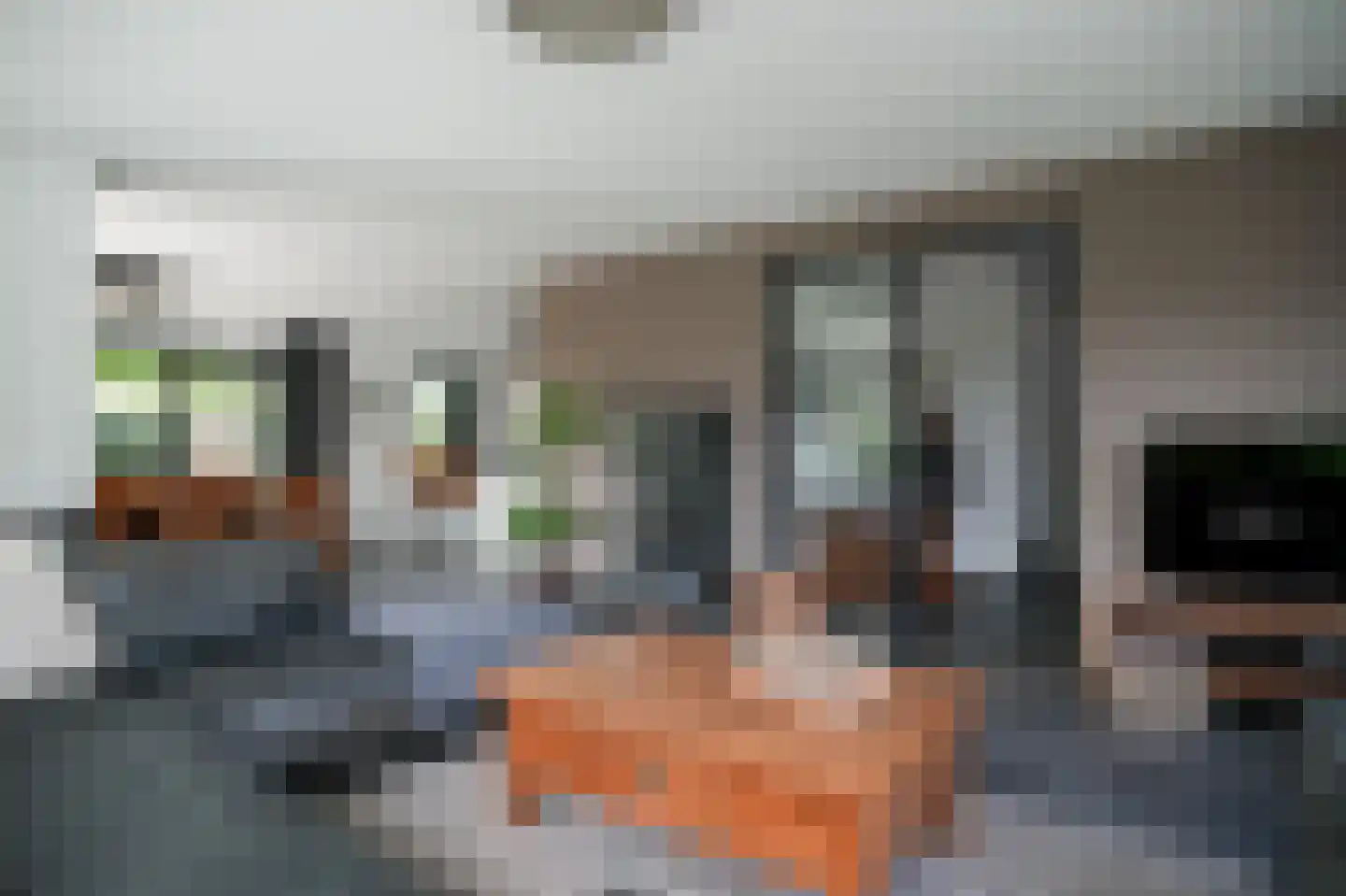 Prins van Oranjestraat 11 Geldermalsen thumbnail 9