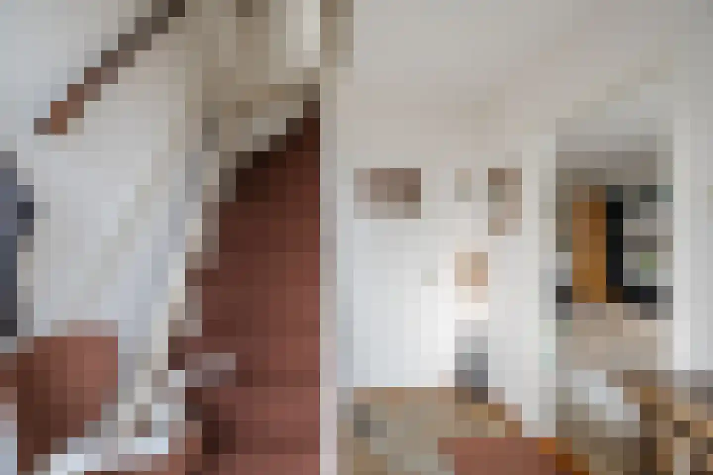 Prins van Oranjestraat 18 Wormer thumbnail 11