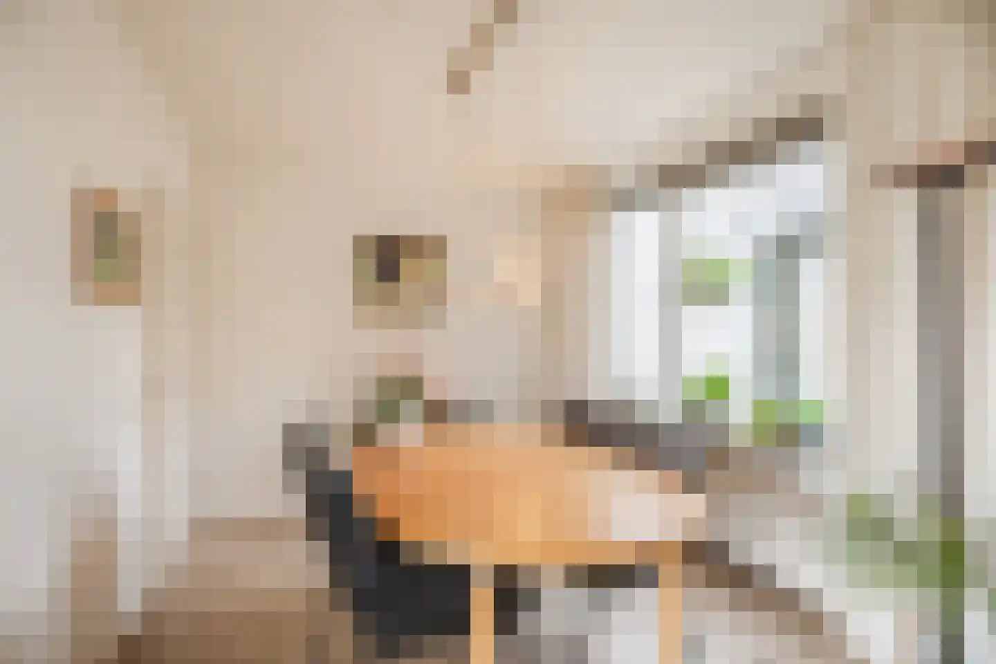 Prins van Oranjestraat 18 Wormer thumbnail 17
