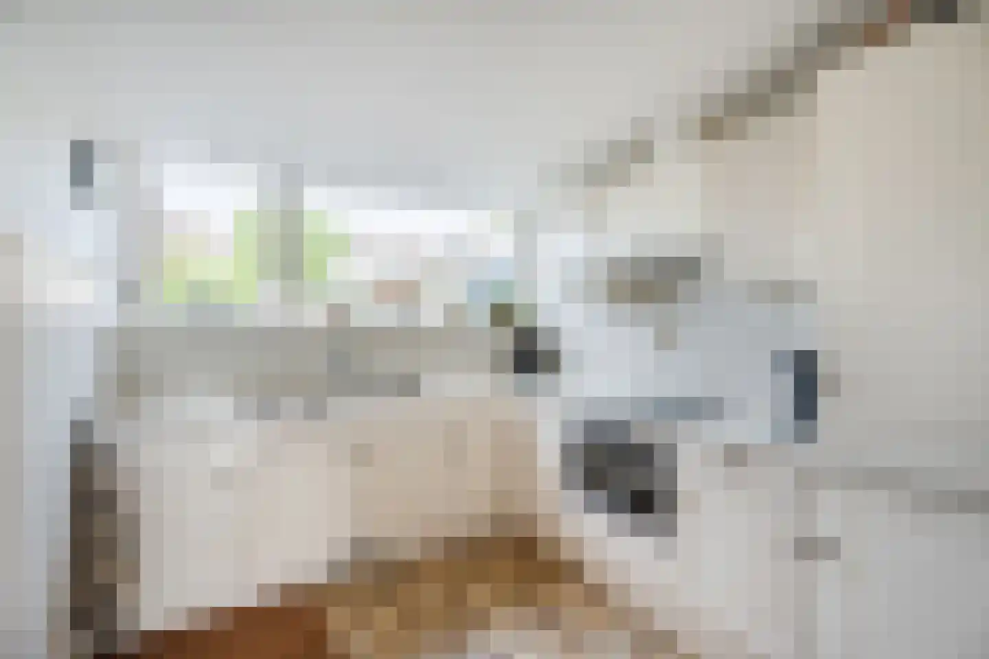 Prins van Oranjestraat 18 Wormer thumbnail 18