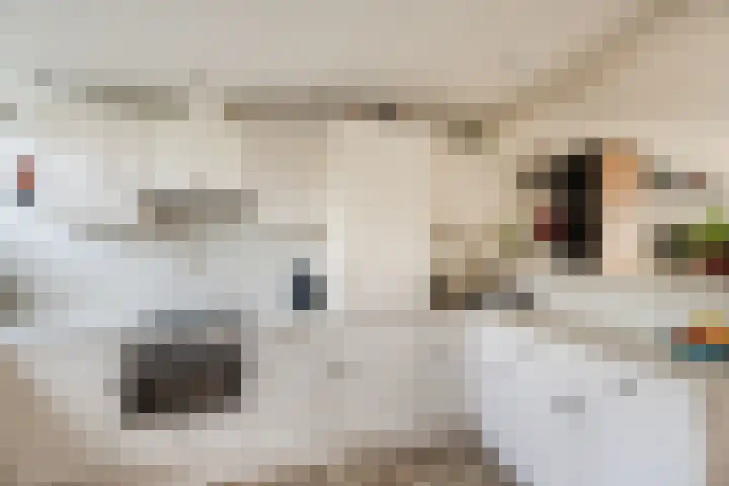 Prins van Oranjestraat 18 Wormer thumbnail 19