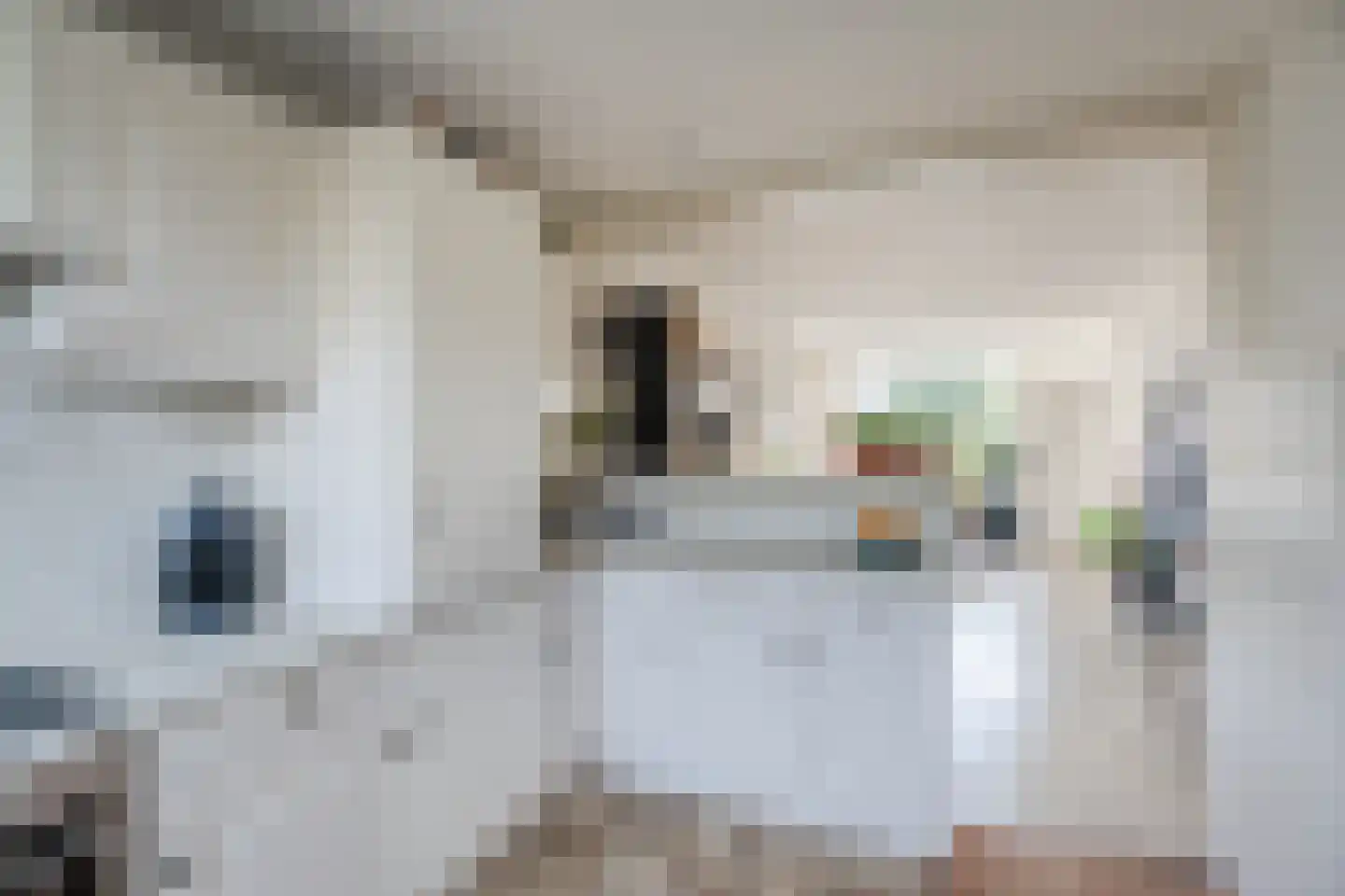 Prins van Oranjestraat 18 Wormer thumbnail 20